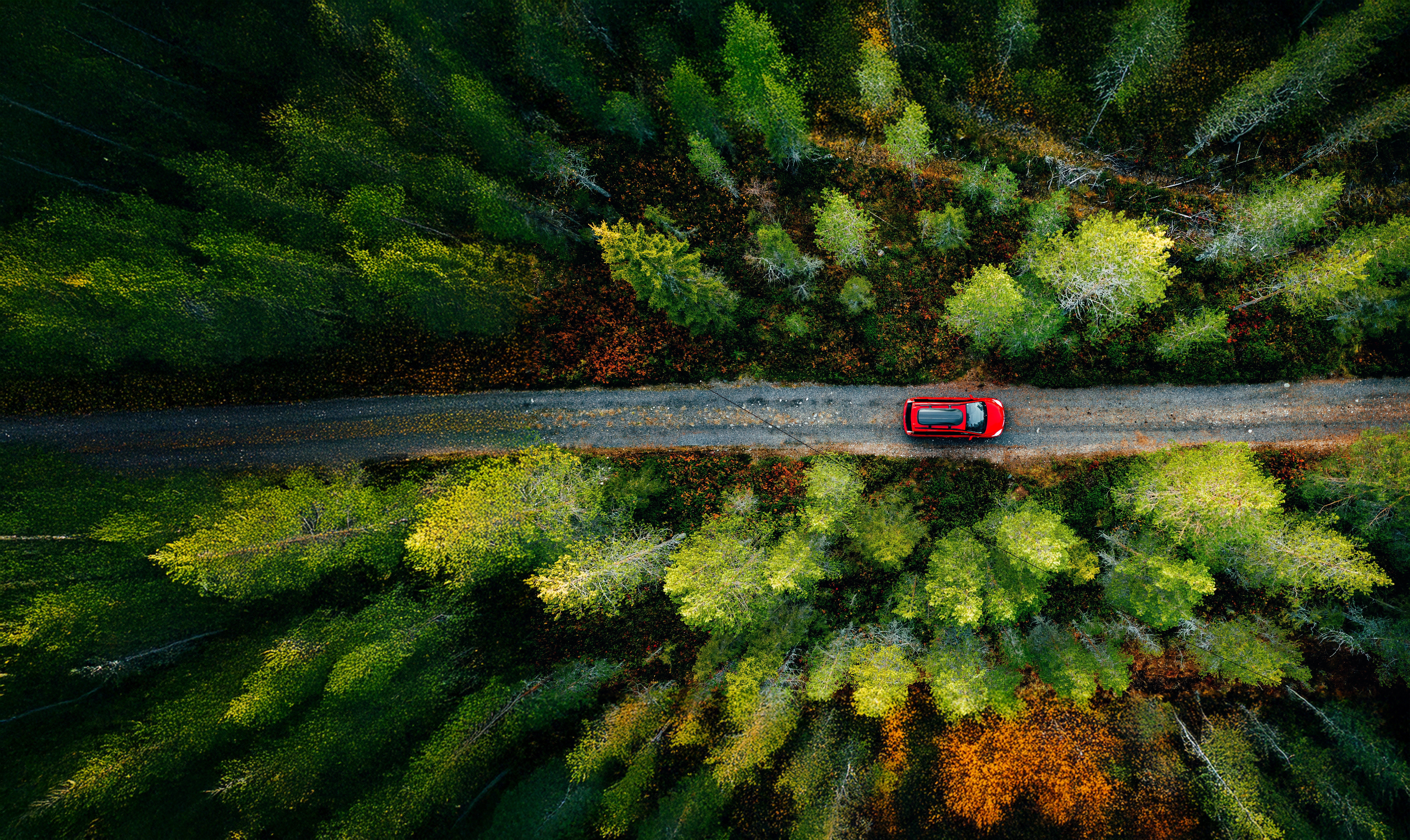 AdobeStock_320762789