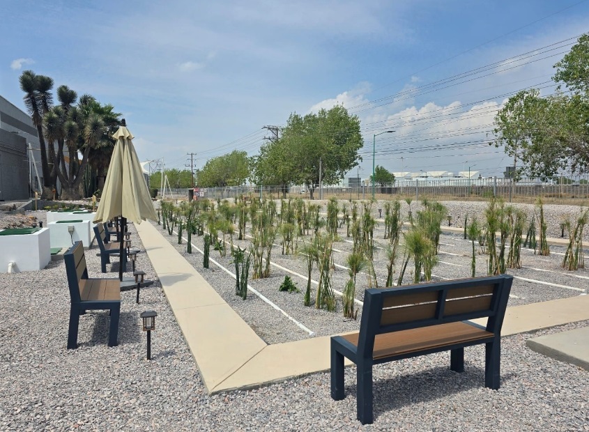 Finished wetland area