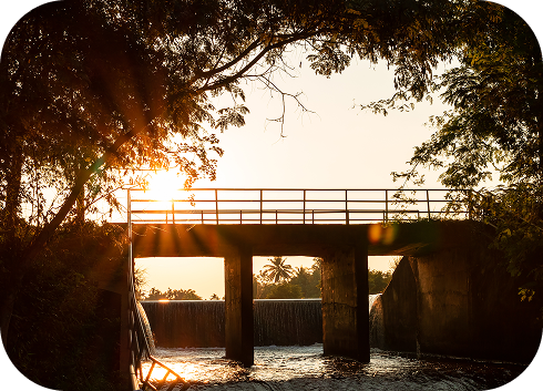 AdobeStock_195459897 7 AdobeStock_195459897 7
