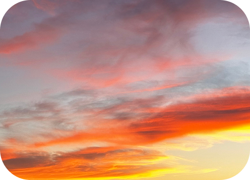 AdobeStock_195459897 8
