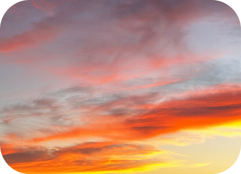 AdobeStock_195459897 8